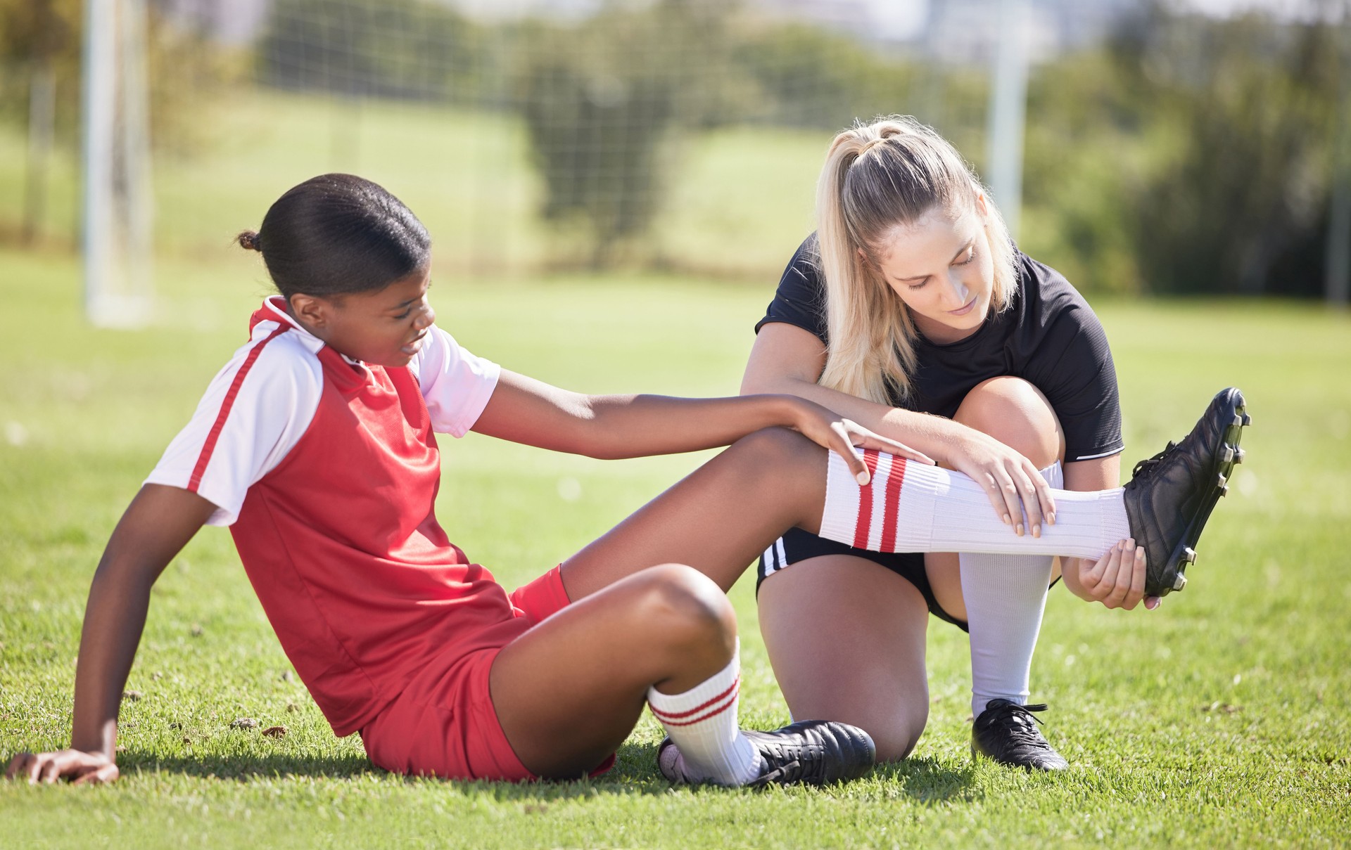 L. Schoen, collegiate associate athletic trainer